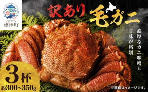 【スピード発送】【溢れる旨味！】こだわり品質 毛ガニ 若蟹 300g~350g×3杯 わけあり 国産 北海道 羅臼産 蟹 かに カニ 毛がに 毛蟹  冷凍毛ガニ 冷凍かに 冷凍カニ 訳ありカニ 訳アリ 訳アリ毛ガニ 訳あり毛ガニ 人気 ランキング おすすめ ごほうび 贅沢 毛ガニ冷凍 蟹脚 蟹あし カニ脚 かに北海道 北海道産 魚貝類 魚介類 海鮮 魚介 魚貝 お祝い プレゼント 北海道 標津町 2685821 - 北海道標津町