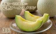 メロン 3玉 アールスメロン 【先行予約】 完熟 めろん 甘い 産地直送 果物 くだもの フルーツ デザート 旬 人気 meron melon 青肉 ジューシー 新鮮 果実 果汁 贅沢 ご褒美 国産 茨城県産 特産品 期間限定 数量限定 関東 茨城 筑西 2026年産
