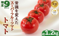【高糖度】 トマト 約1.2kg 大玉 スーパーフルーツトマト 【2027年2月上旬~6月上旬配送】甘い 新鮮 野菜 フルーツトマト 高糖度 追熟 完熟 人気 おすすめ 夏 やさい yasai 果物 とまと tomato 濃い 関東 茨城 筑西 国産 産地直送 先行予約 昼めし旅