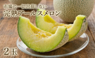 完熟 アールスメロン 2玉 2026年産 先行予約 メロン マスクメロン 青肉 果物 フルーツ 茨城県産 期間限定 数量限定