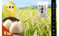 令和7年産 コシヒカリ5キロ(5kg×1袋)　天然の軟水「黒耀水」育ちのお米 長野県長和町産 農家直送 一等米精白米