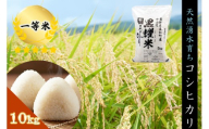 令和7年産 コシヒカリ10キロ(5kg×2袋)　天然の軟水「黒耀水」育ちのお米 長野県長和町産 農家直送 一等米精白米
