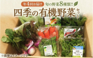 【 定期便 年4回お届け！】四季の 有機野菜 色とりどりセット  野菜 野菜セット 詰め合わせ 有機 JAS認定 おまかせ 野菜スティック レインボーフューチャー