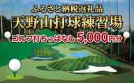 天野山打球練習場　打球練習券 　５