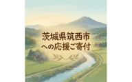 【返礼品なし】茨城県筑西市へのご寄附 5,000円