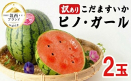 [2027年発送] 【 訳あり 】 こだますいか 「 ピノ・ガール 」 2玉 2027年産 先行予約 筑西ブランド こだまスイカ 小玉スイカ すいか スイカ フルーツ 果物