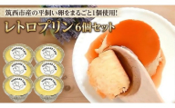 レトロ プリン 6個 セット 固め 贅沢 リピーター 人気 添加物不使用 昔ながら 平飼い 卵 たまご 昔プリン ぷりん 洋菓子 お菓子 スイーツ デザート ODEKAKE LADY 茨城県 筑西市