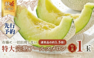 完熟 特大 アールスメロン １玉 2026年産 先行予約 メロン マスクメロン 青肉 果物 フルーツ 茨城県産 期間限定 数量限定