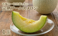 完熟 アールスメロン 1玉 2026年産 先行予約 メロン マスクメロン 青肉 果物 フルーツ 茨城県産 期間限定 数量限定