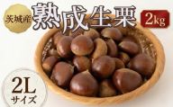 【先行受付】 栗 生栗 2kg 大粒 選べる大きさ 2L 令和8年産 完熟 栗 くり クリ kuri / 栗ごはん 栗スイーツ 2026年度産 国産 味覚 生ぐり なまぐり 和栗 わぐり 先行受付 秋の味覚 マロン 生くり 甘栗 焼き栗 ゆでぐり 料理 和菓子 炊き込みご飯 ごはん 栗きんとん 数量限定 贈答 ギフト 数量限定 旬 秋 冬 正月 おせち 茨城県 筑西市 関東
