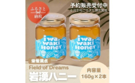 岩湧ハニー 純粋百花はちみつ 160g×2本セット 国産天然はちみつ 大阪府 河内長野市 ギフト 百花蜜 ビタミン ミネラル 酵素 パンケーキ ヨーグルト アサイー 朝食 おやつ 手土産 コーヒー 紅茶 ドリンク 珈琲 プレゼント 岩湧山 トースト はちみつ 蜂蜜 ハチミツ