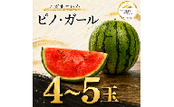【 JA北つくば 】 極シャリ食感 ！ こだますいか 「 ピノ・ガール 」 4～5玉 2026年産 小玉すいか 小玉 すいか スイカ 果物 フルーツ ピノガール 西瓜 くだもの デザート 茨城