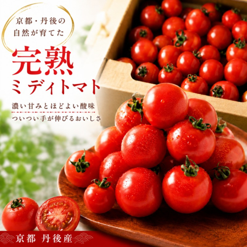 【収穫期限定】京都丹後産　完熟ミディトマト　約1.4kg 2687128 - 京都府京丹後市