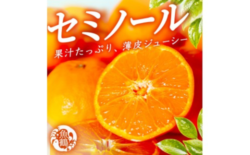 ［先行予約］ジューシー柑橘 セミノールオレンジ 5kg［UT149］ 2687154 - 和歌山県上富田町