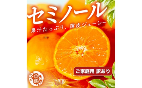 ［先行予約］［ご家庭用訳あり］ジューシー柑橘 セミノールオレンジ 5kg［UT150］ 2687164 - 和歌山県上富田町