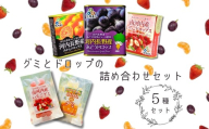 グミとドロップの詰め合わせセット（5種類）各1個 | みかん いちご ぶどう お菓子 ドロップ グミ キャンディー ぐみ 子ども おやつ ギフト スイーツ 大阪 河内長野