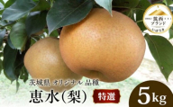梨 特選 恵水 5kg 2026年産 先行予約 梨 果物 フルーツ なし ナシ 赤梨 贈り物 贈答 贈答用 JA 北つくば 筑西ブランド 認証品 関東 茨城 筑西