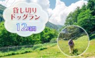 貸切ドッグラン利用券（12時間）