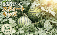 【 地下水100％栽培 】 こだますいか 「 スウィートキッズ 」 5玉入り 先行予約 スウィートキッズ すいか スイカ 小玉スイカ こだまスイカ 西瓜 フルーツ 果物