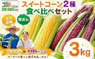 【先行予約】 とうもろこし 約3kg 2種詰合わせ 大和ルージュ おおもの 朝採れ 食べ比べ【7月上旬以降発送】 トウモロコシ トウキビ とうきび スイートコーン コーン 赤とうもろこし 赤 toumorokoshi 茨城県産 新鮮 甘い 糖度 朝どれ 甘い おおもの 野菜 レンチン 冷蔵 夏野菜 極甘 旬 産地直送 関東 茨城 筑西