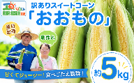 【先行予約】 訳あり とうもろこし 約5kg  スイートコーン （おおもの） 朝もぎ  わけあり 【7月上旬以降発送】《筑西市》 とうもろこし トウモロコシ トウキビ とうきび コーン toumorokoshi 茨城県産 新鮮 甘い 糖度 朝どれ 朝採れ 甘い おおもの 野菜 採れたて野菜 レンチン 冷蔵 夏野菜 極甘 旬 産地直送 関東 茨城 筑西市