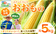 【先行予約】 とうもろこし 約5kg スイートコーン （おおもの） 朝もぎ 茨城県 【7月上旬以降発送】《筑西市》 とうもろこし トウモロコシ トウキビ とうきび  コーン toumorokoshi 茨城県産 新鮮 甘い 糖度 朝どれ 朝採れ 甘い おおもの 野菜 採れたて レンチン 冷蔵 夏野菜 極甘 旬 産地直送 関東 茨城 筑西市