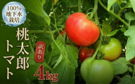 【 訳あり 】 地下水100％で作る 桃太郎 トマト 4kg 野菜 桃太郎 トマト とまと 地下水 ミネラル 茨城 筑西