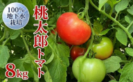 地下水100％で作る「 桃太郎トマト 」 8kg 野菜 桃太郎 トマト とまと 地下水 ミネラル