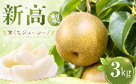 [先行予約] 梨 新高 3kg なし ナシ 梨 果物 くだもの フルーツ デザート 新鮮 果肉 果汁 fruit nasi ふるうつ ふるーつ 梨 3キロ ナシ フルーツ 旬 にいたか 新高梨 ナシ 甘い みずみずしい 2026年産 特産品 産地直送 農家直送 お取り寄せ たけうち農園 茨城県 筑西市 関東