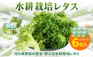 レタス 6個 ｜ 水耕栽培 河内長野産 フリルレタス 種類 栽培 菜 茎 サラダ 副菜 おつまみ フレアベル フリルアイス セット 無農薬  栄養満点 ビタミン ミネラル 安心 安全 新鮮レタス こだわりの逸品 地域特産品 ギフト 自分用 人気 おすすめ