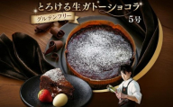 スイーツコンテスト 日本一 シェフ の「 とろける 生 ガトーショコラ 」 5号 手作り ケーキ チョコ チョコレート ショコラ 誕生日 バースデーケーキ 誕生日ケーキ クリスマス クリスマスケーキ