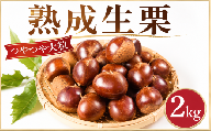 【先行予約】栗 くり 約2kg 3L 国産 生栗 2026年度産 大粒 つやつや 秋 旬 味覚 生栗 生ぐり なまぐり 和栗 わぐり 先行受付 秋の味覚 マロン 生くり 甘栗 焼き栗 ゆでぐり 料理 和菓子 炊き込みごはん ごはん 秋 味覚 お正月 数量限定 令和8年度産 R8年度産 茨城県産 関東 茨城 筑西