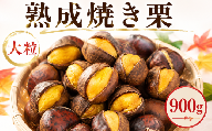 【先行予約】 栗 約900g 300g x 3袋 焼き栗 2L サイズ 産地直送 大粒 つやつや 小分け 便利 秋 旬 味覚 2026年度産  焼栗 焼きぐり やき栗 和栗 わぐり 先行受付 秋の味覚 マロン 生くり 甘栗 焼き栗 ゆでぐり 料理 和菓子 数量限定 令和8年度産 R8年度産 茨城県産 国産 関東 茨城 筑西