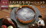 【 定期便 6ヶ月 】 スイーツコンテスト 日本一 シェフ の「 とろける 生 ガトーショコラ 」 5号 手作り ケーキ チョコ チョコレート ショコラ 誕生日 バースデーケーキ 誕生日ケーキ クリスマス クリスマスケーキ 定期便 6ヶ月