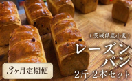 【 3ヶ月 定期便 】茨城県産 小麦の レーズンパン 2斤 2本 セット 食パン パン 小麦 冷凍 レーズン プレゼント ギフト