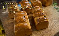 【 6ヶ月 定期便 】茨城県産 小麦の レーズンパン 2斤 2本 セット 食パン パン 小麦 冷凍 レーズン プレゼント ギフト
