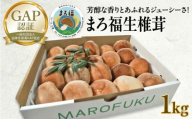 【 ファーム大畑 】 まろ福生椎茸 1kg 椎茸 しいたけ GAP規範 ジューシー ビタミンD 葉酸 グアニル酸 遊離グルタミン酸 和風パスタ 味噌汁 炒め物 佃煮 和洋中