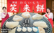 笑来餅 5個 セット（白5個） 餅 もち もち米 きな粉餅 あんこ餅