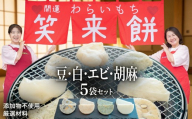 笑来餅 5個 セット（豆2、白、エビ、胡麻） 餅 もち もち米 豆餅 落花生 エビ
