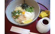 手延べうどん 半生手なえ 6袋 ( 12人前 ) 麺 めん 半生