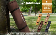 マルチエアマットNEOLUX オークブラウン (W540) アウトドア キャンプ キャンプ用品 フェス 防災に コンパクト 軽量 おしゃれ キャンピングマット ベッドマット 寝具 キャンプ用寝具 敷布団 車中泊 快適 バーベキュー キャンプ インテリア ラグマット 冷気遮断 BBQ ピクニック キャンプ用マット キャンプマット