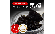 黒耀 信州キャビア 20g 黒曜石キャビアスプーン付 限定品 信州キャビア20g入1瓶　黒曜石製 キャビアスプーン1本付 化粧箱入り 長野県製造 冷凍生キャビア キャビア 生キャビア 生 スプーン付き 信州 長野県