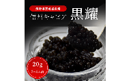 黒耀 信州キャビア 20g 黒耀 信州キャビア20g 入瓶 キャビアスプーン付 化粧箱入り 長野県製造 冷凍生キャビア キャビア 生キャビア 生 スプーン付き 信州 長野県