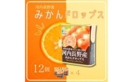 みかんドロップス 12個セット ｜ 河内長野産みかん果汁使用 大阪産品 果汁みかん オレンジ ミカン おやつ お菓子