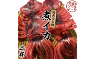 筑西市名物 煮イカ（二杯） いか 筑西 茨城 ソウルフード ご当地グルメ 名物 海鮮 魚介 冷凍