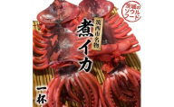 筑西市名物 煮イカ（一杯） いか 筑西 茨城 ソウルフード ご当地グルメ 名物 海鮮 魚介 冷凍