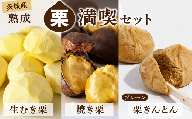 【先行受付】 生むき栗 焼き栗 栗きんとん セット 選べる栗きんとん プレーン 熟成栗 令和8年産 栗 くり クリ 大粒 栗ごはん レシピ付き 料理 栗料理 栗おかし 栗鹿ノ子 和菓子 わがし お茶 お茶菓子 おかし お菓子 果物 フルーツ 数量限定 旬 秋 冬 正月 おせち 栗の深雫 しずく くりのしずく 吉原農場 茨城県 筑西市 関東 ysh026