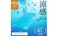 涼感ジェルマット ECO 枕 (R281) ｜ ジェルマット まくら 寝具 河内長野