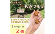 【個数限定】天然素材の手揉みクルミ　2個1セット　高級　エクササイズ　リラックス　健康促進　手のひら