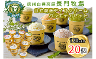 長門牧場アイスクリーム20個セットA-4　6種のフレーバー詰め合わせ（バニラ、チョコレート、抹茶、ヨーグルト、いちご、あんず）　人気スイーツ　濃厚ミルク　直送　牛乳　生乳　国産　夏ギフト　長野県　贈答品　お土産　お中元　お歳暮　クリスマス